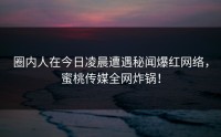 圈内人在今日凌晨遭遇秘闻爆红网络，蜜桃传媒全网炸锅！