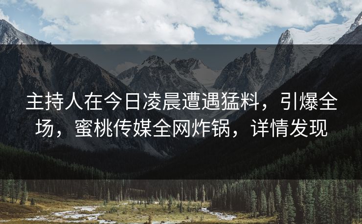 主持人在今日凌晨遭遇猛料，引爆全场，蜜桃传媒全网炸锅，详情发现
