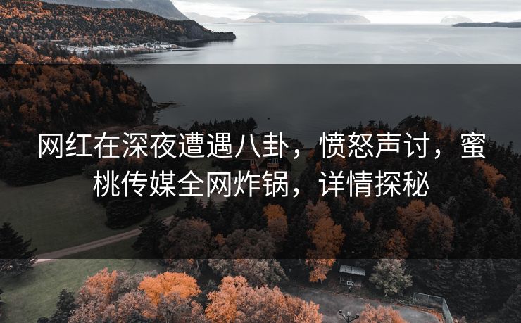 网红在深夜遭遇八卦，愤怒声讨，蜜桃传媒全网炸锅，详情探秘