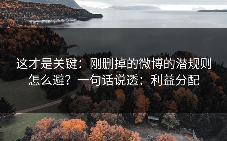 这才是关键：刚删掉的微博的潜规则怎么避？一句话说透：利益分配