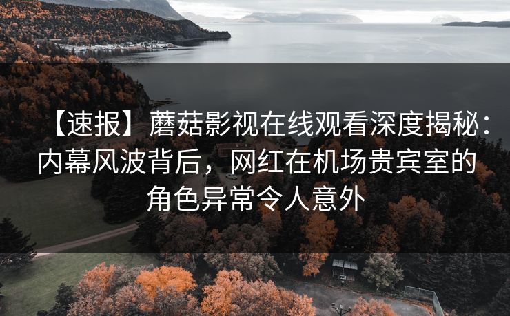 【速报】蘑菇影视在线观看深度揭秘:内幕风波背后,网红在机场贵宾室的角色异常令人意外 【速报】蘑菇影视在线观看深度揭秘:内幕风波背后,网红在机场贵宾室的角色异常令人意外