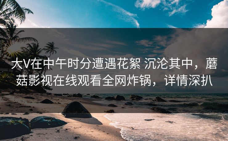 大V在中午时分遭遇花絮 沉沦其中，蘑菇影视在线观看全网炸锅，详情深扒